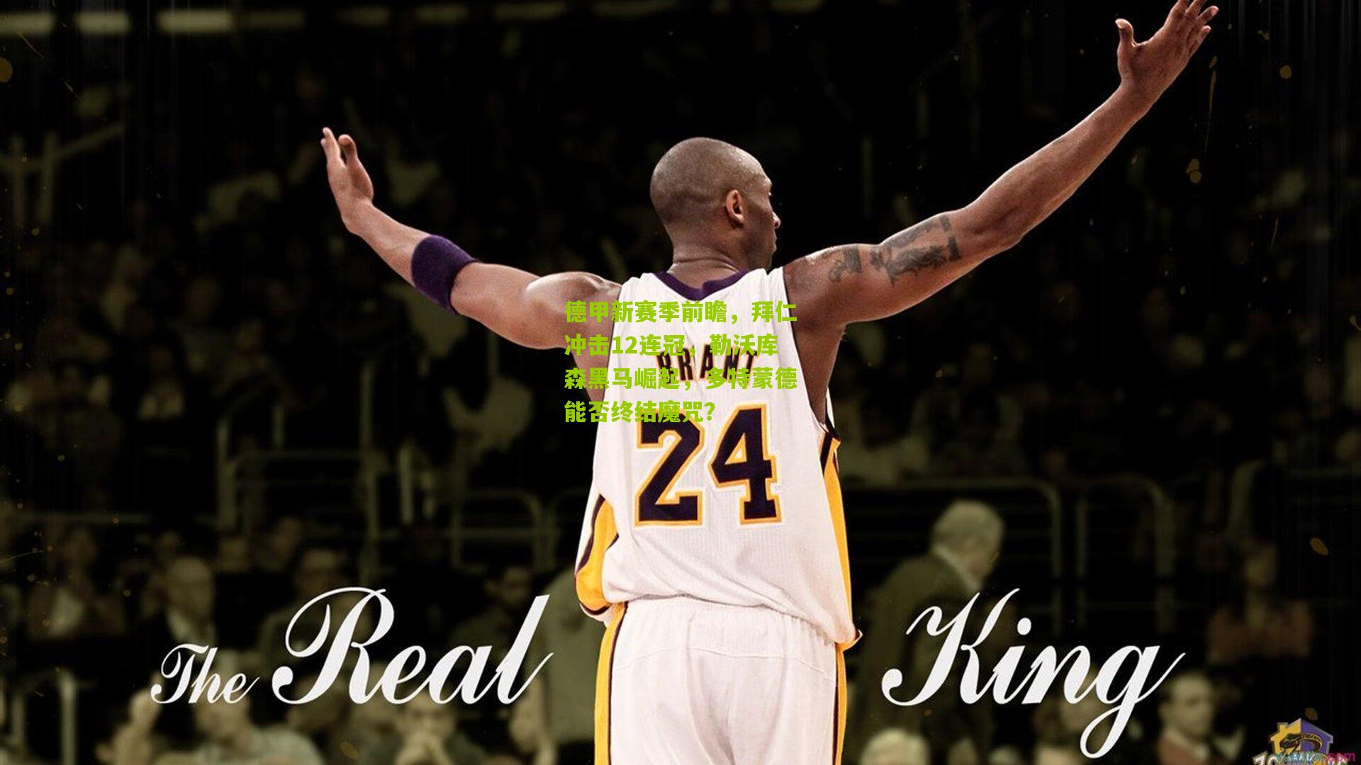 德甲新赛季前瞻,拜仁冲击12连冠,勒沃库森黑马崛起,多特蒙德能否终结魔咒?