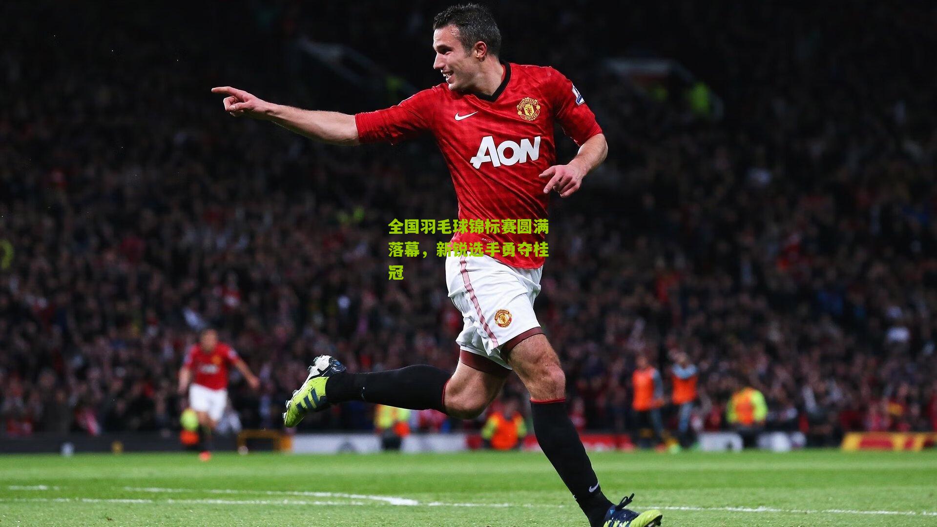 全国羽毛球锦标赛圆满落幕,新锐选手勇夺桂冠