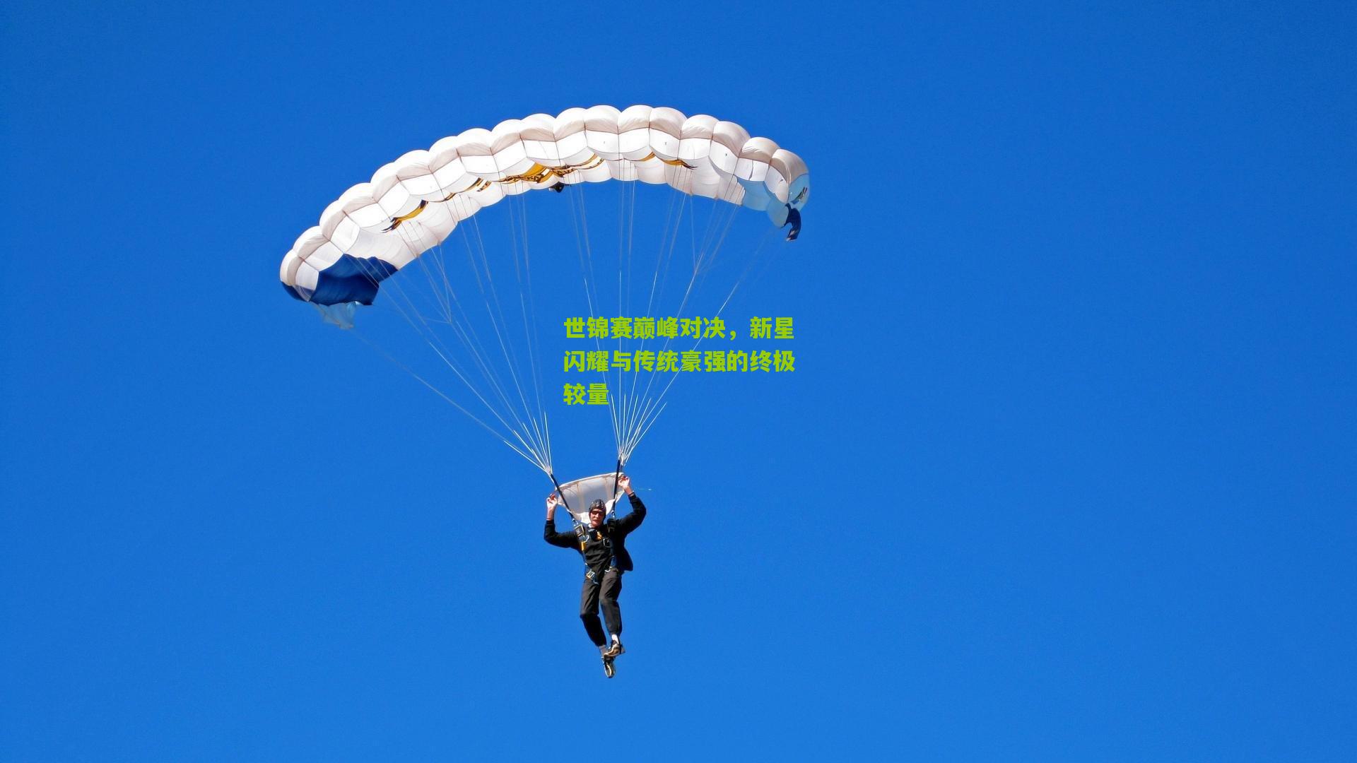 世锦赛巅峰对决,新星闪耀与传统豪强的终极较量