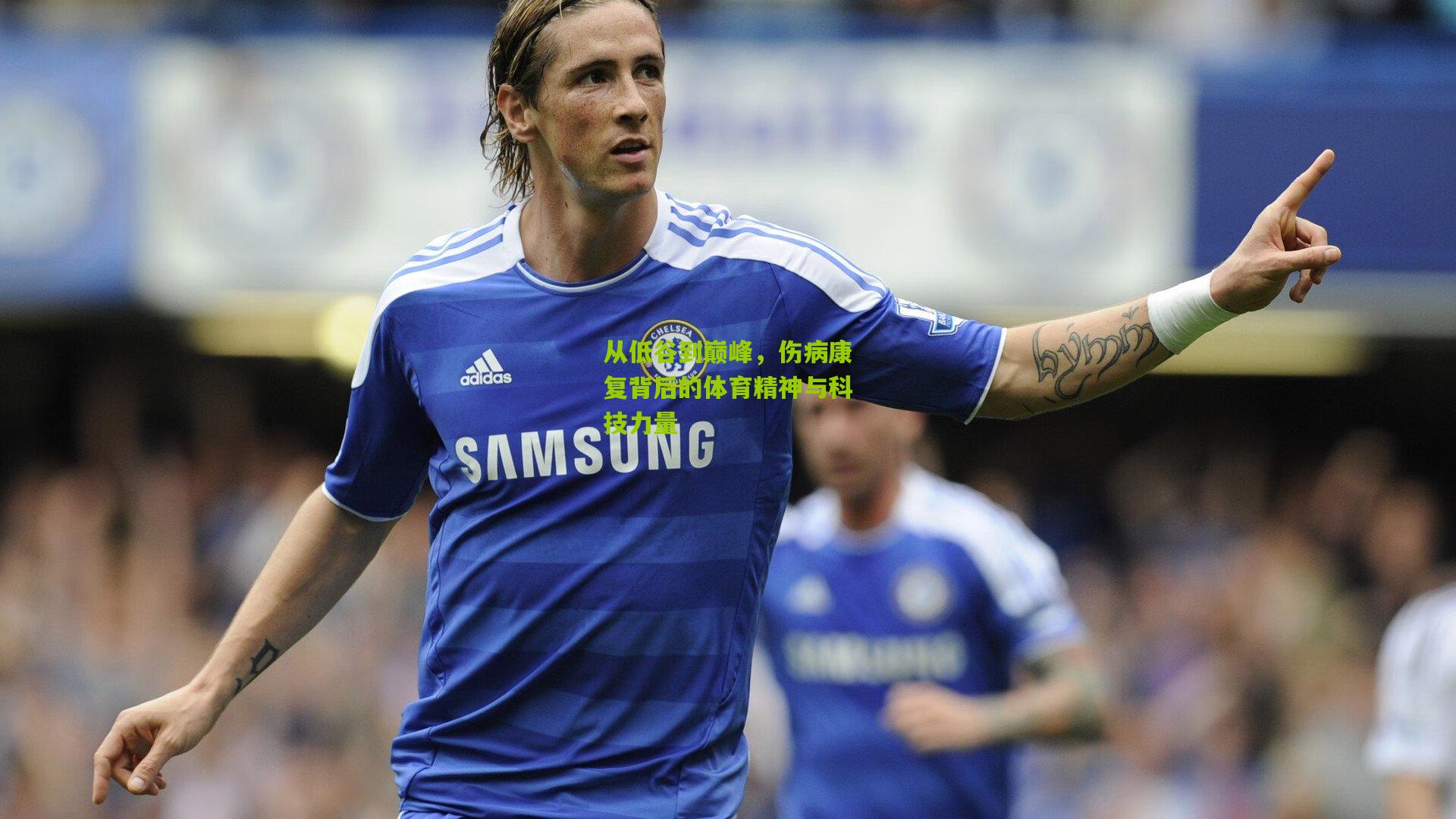 从低谷到巅峰,伤病康复背后的体育精神与科技力量